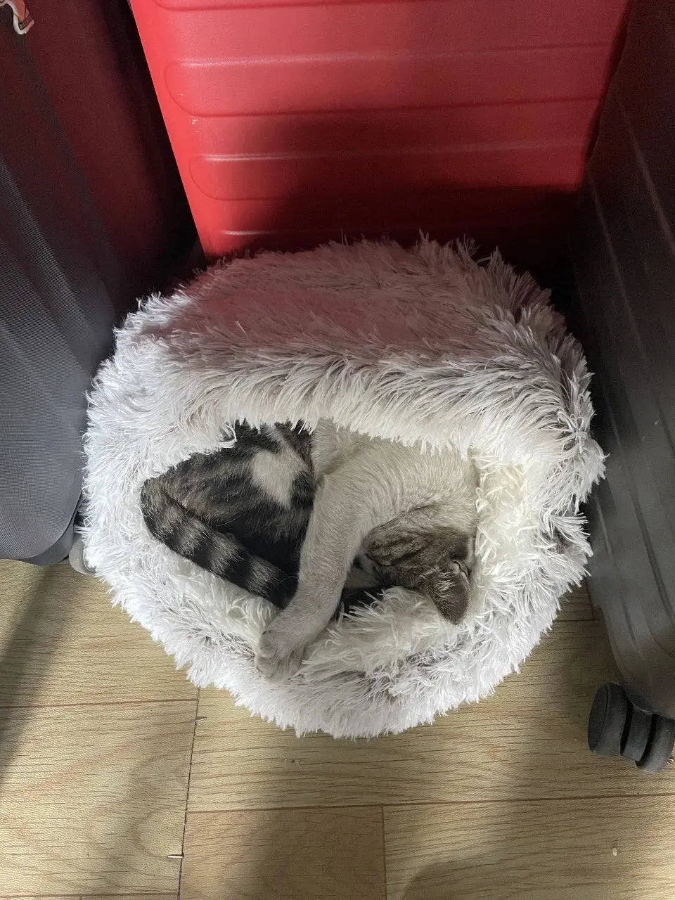 Cozy Dog and Cat Bed - Classicenvision