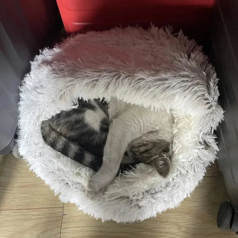 Cozy Dog and Cat Bed - Classicenvision