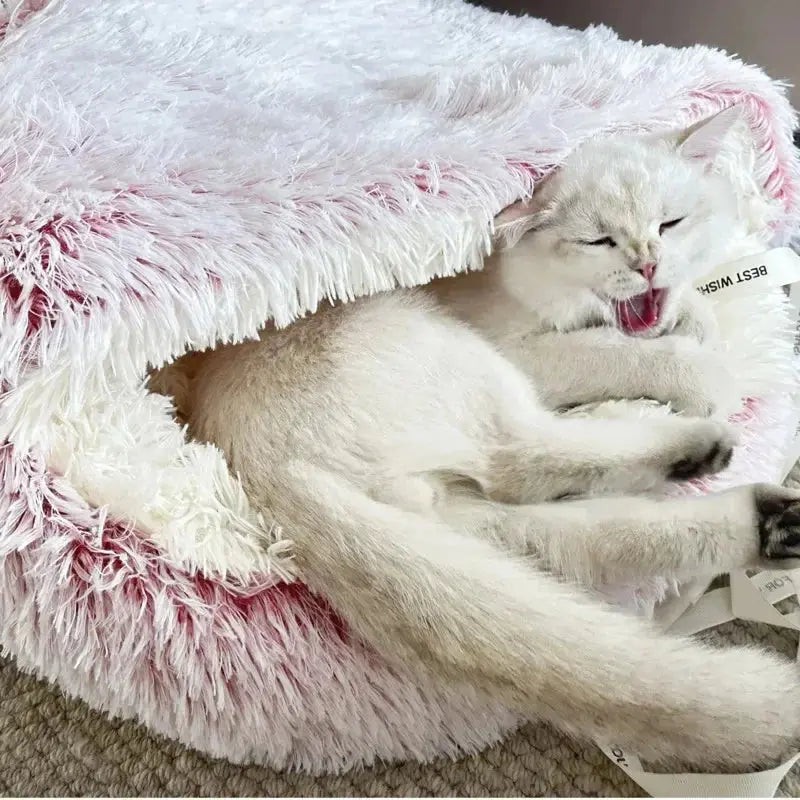 Cozy Dog and Cat Bed - Classicenvision