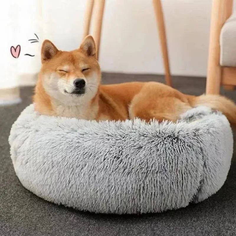 Cozy Dog and Cat Bed - Classicenvision